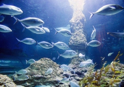 廣州到蓬萊物流專線_廣州到蓬萊貨運(yùn)直達(dá)