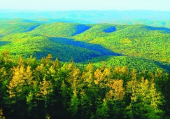 廣州到大興安嶺物流專(zhuān)線(xiàn)，廣州至大興安嶺貨運(yùn)公司