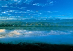 廣州到宜賓物流專(zhuān)線，專(zhuān)業(yè)運(yùn)輸公司廣州至宜賓貨運(yùn)