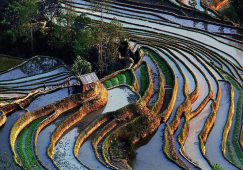 廣州到紅河物流專線，直達運輸公司廣州至紅河貨運