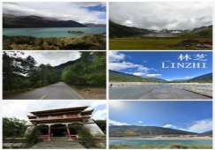 廣州到林芝物流專線，整車零擔配貨的廣州到林芝貨運