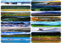 廣州到阿勒泰物流專線，廣州到新疆阿勒泰貨運(yùn)價(jià)格