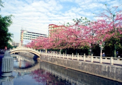 廣州到遂溪物流專線，廣州到遂溪貨運公司