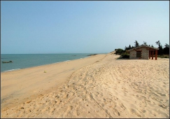 廣州到東方物流專線，廣州到東方貨運公司