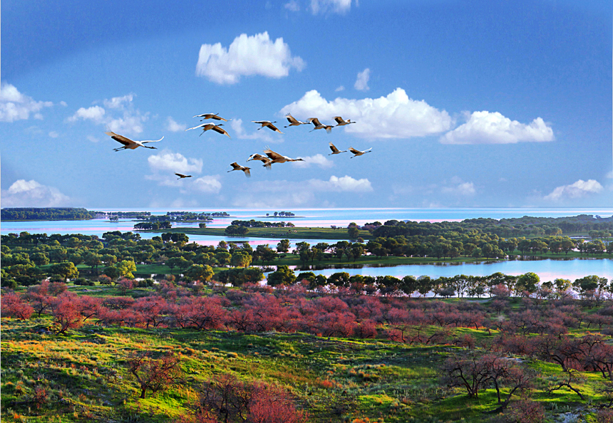 佛山到白城物流專線/佛山到白城貨運(yùn)公司(圖1) 1-200F5152203346.jpg